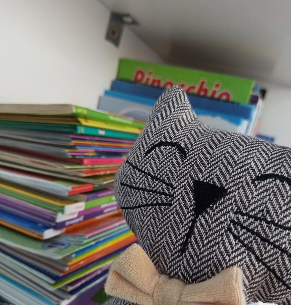 Teancuri de cărți de poveste din biblioteca centrului, cu o pisică de pluș așezată alături